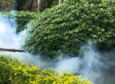 四害消殺完成后，需要做哪些鞏固工作呢？